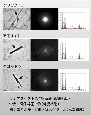 アスベスト（クリソタイル・アモサイト・クロシドライト）の電子顕微鏡画像